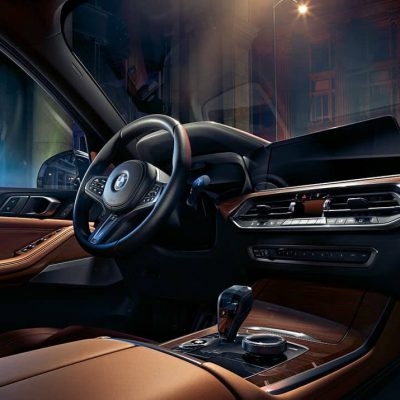 leather interior 2019 BMW X5